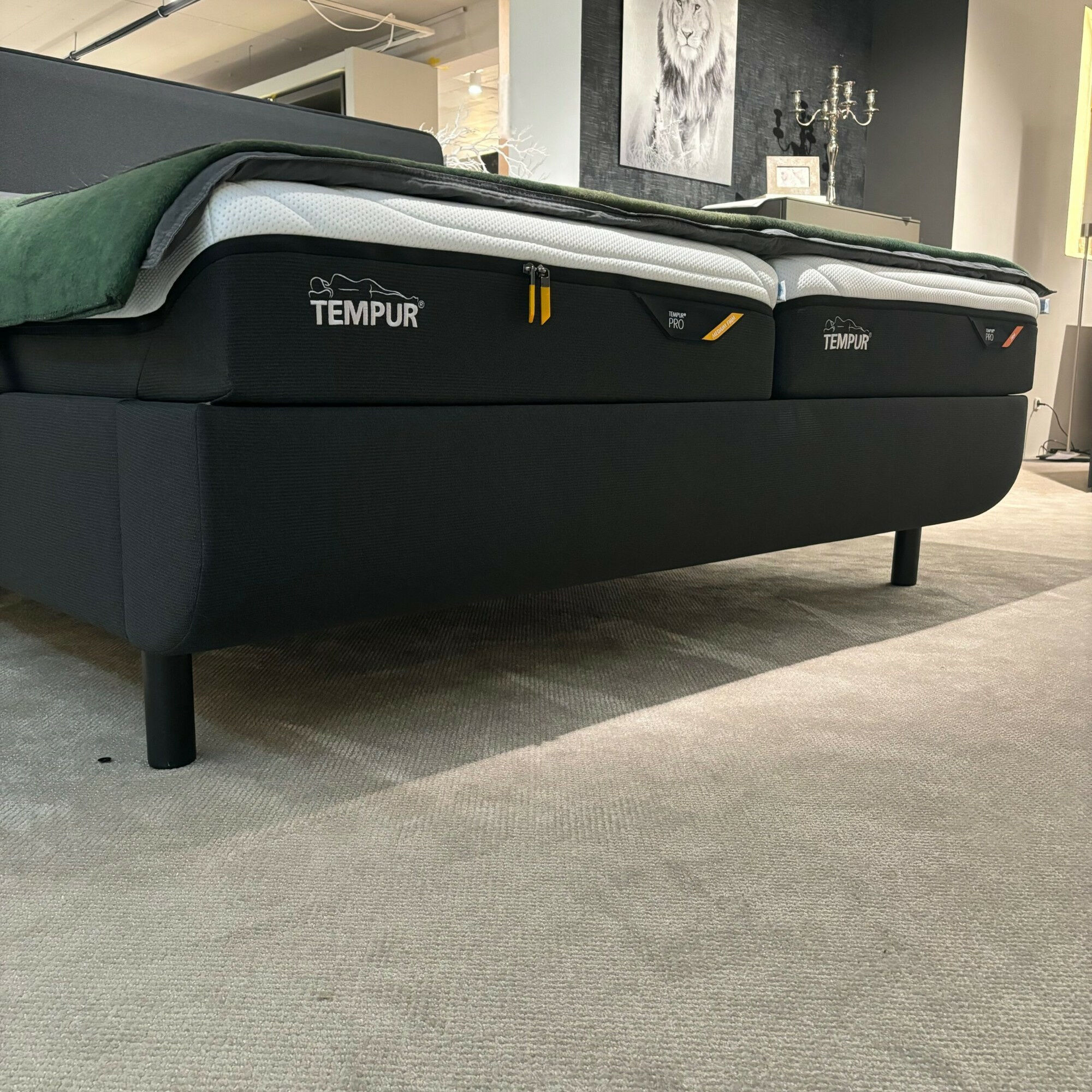 Tempur - Polsterbett 83020173 Arc Static Disc Textilgewebe Charcoal Grey Grau Füße Eiche Schwarz Matt Lackiert Kopfteil Sensory Ohne Matratze Ohne Lattenrost - 4