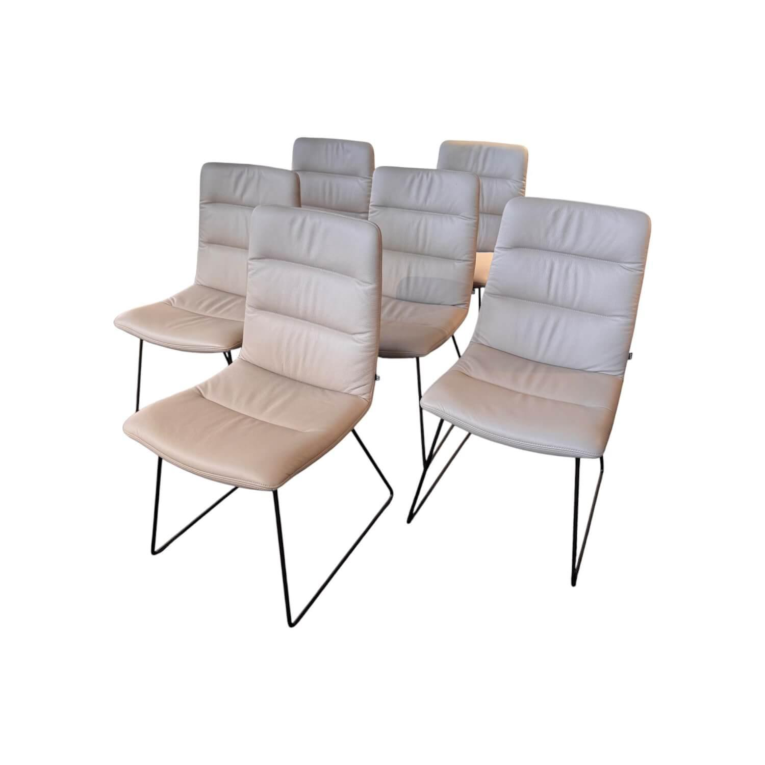 KFF - 6er Set Stuhl Arva Light Leder Belo Horizonte Steingrau 1651 Grau Drahtkufengestell Macadamia M11 Braun - 1