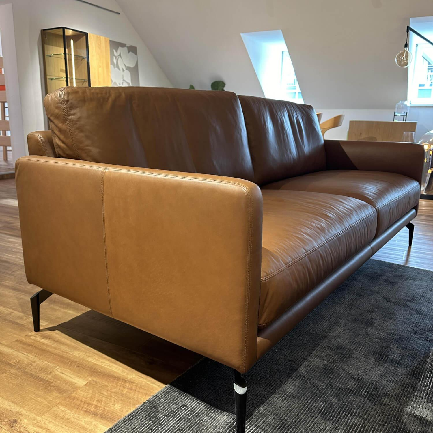 Contur - Sofa Cuneo Bezug Leder Anilina Touch 19 Cognac Braun Schwebefüße Metall Schwarz Lackiert - 2