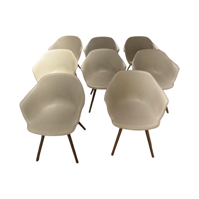 Cattelan Italia - 8er Set Armlehnstuhl Indy Schale Polyurethan Lino Beige Gestell Buche Gebeizt - 1