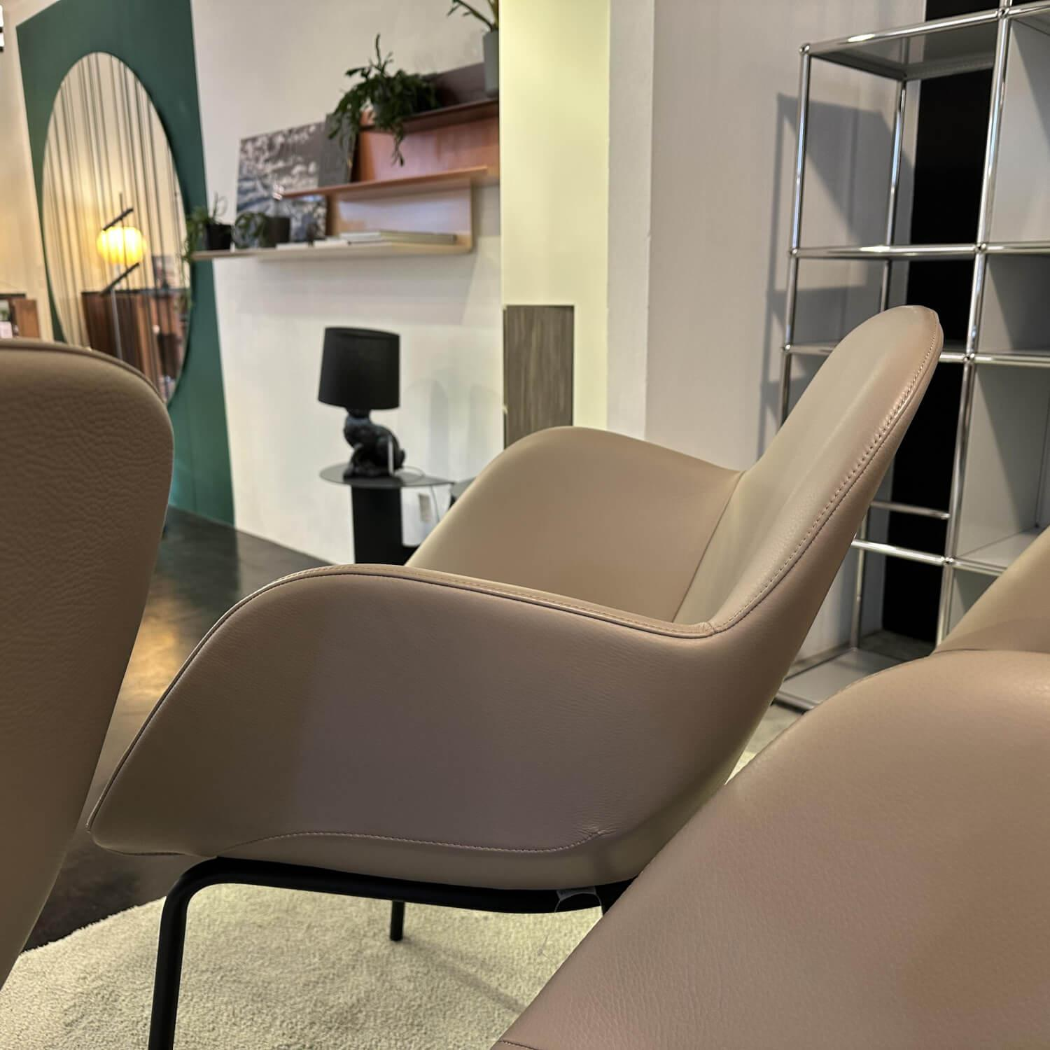 Walter Knoll - 4er-Set Armlehnstuhl Sheru Leder Rodeo Soft 1417 Pebble Beige Gestell Metall Matt Schwarz Mit Filzgleitern - 7