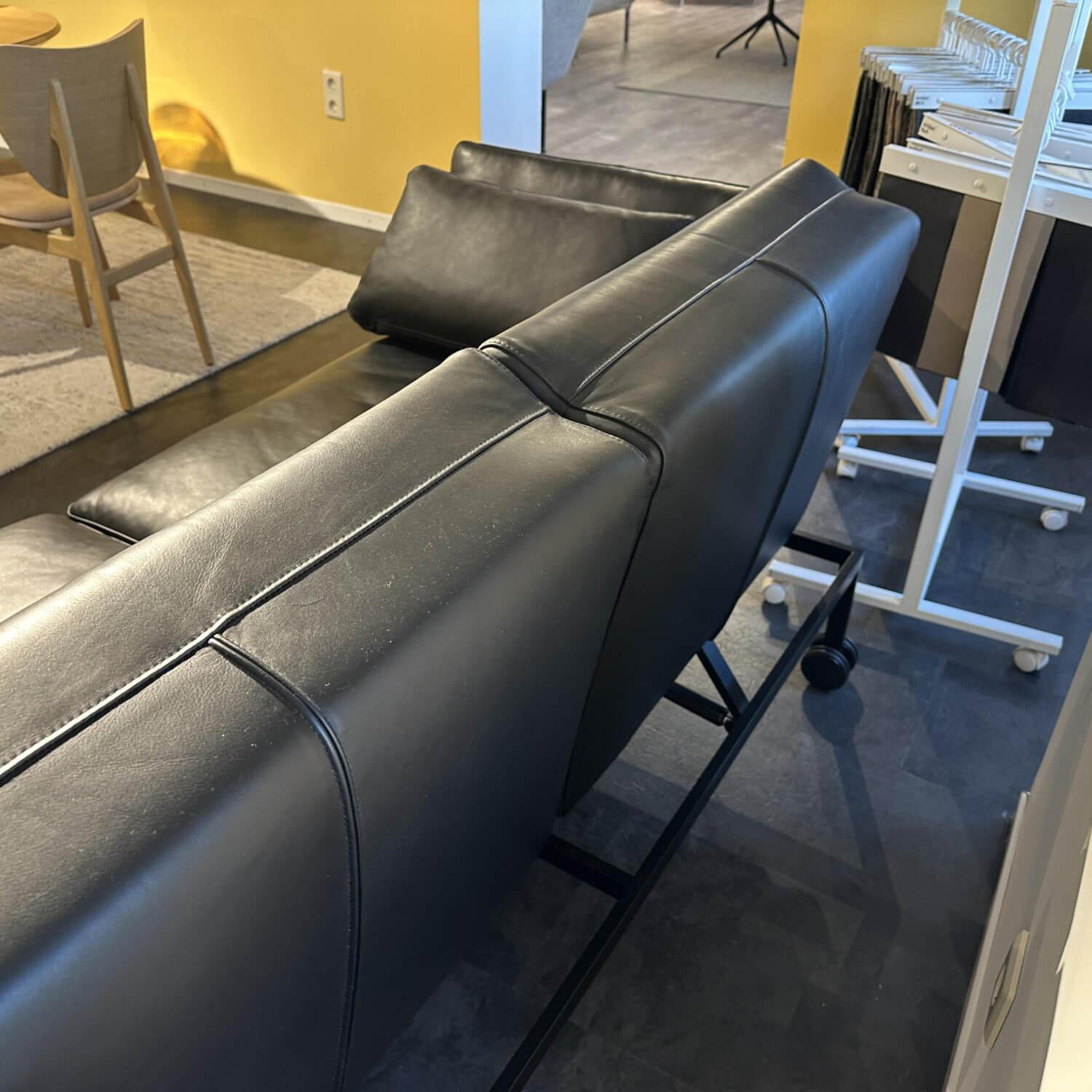 Brühl - Funktionssofa Anilinleder 5669 10 Lama Schwarz Gestell Metall Schwarz Pulverbeschichtet Mit Rollen - 4