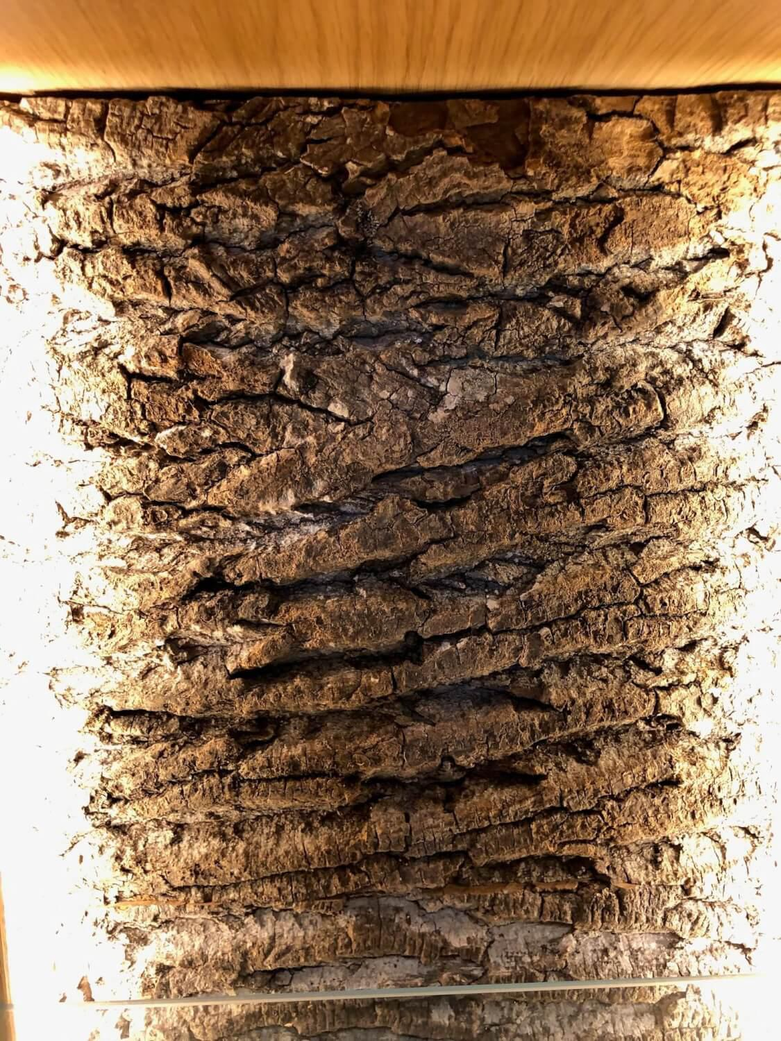 Schröder Franz - Hangelement Kitzalm Solid Plus K050 Eiken kern natuurlijk gefineerd Geborsteld accentglas leigrijs Inclusief verlichting - 8