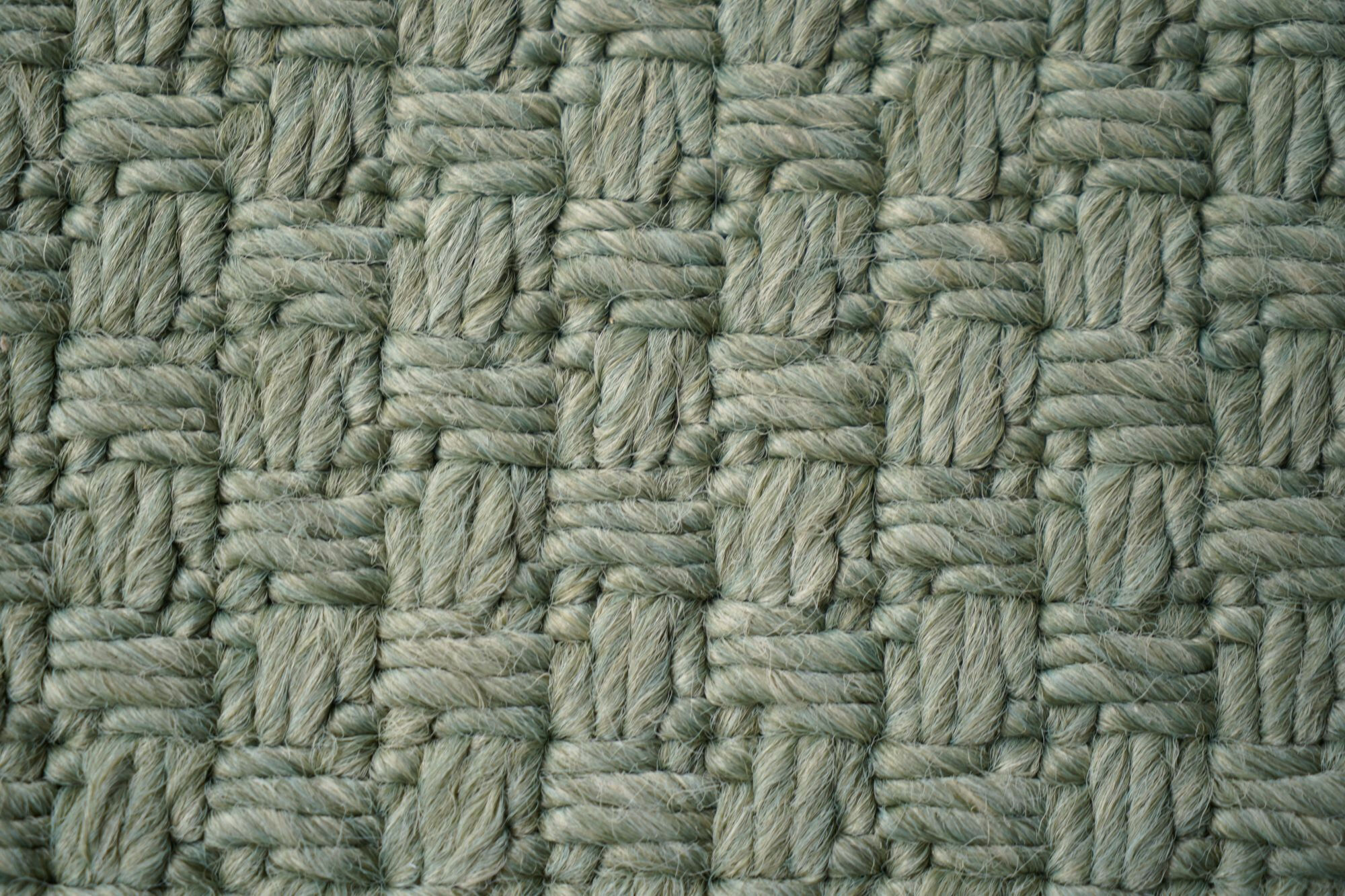 Teppich Munin Forest 1818  Grün Polypropylen Polyester Und Viskose Handgewebt