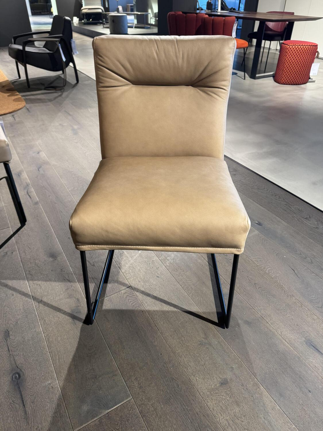 Haas - Sitzgruppe Columbo Leder Rancho 1805 Fango Beige Metallgestell Rundrohr Schwarz Lackiert - 6