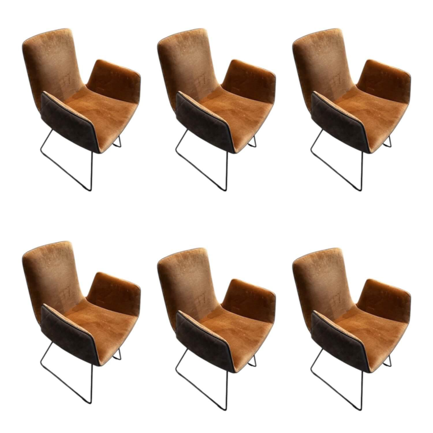 Freifrau - 6er-Set Stuhl Amelie High Sitz Stoff Harald 3 343 Rot Orange Rücken Leder Muscat Coffee Braun Gestell Draht Tiefschwarz - 1