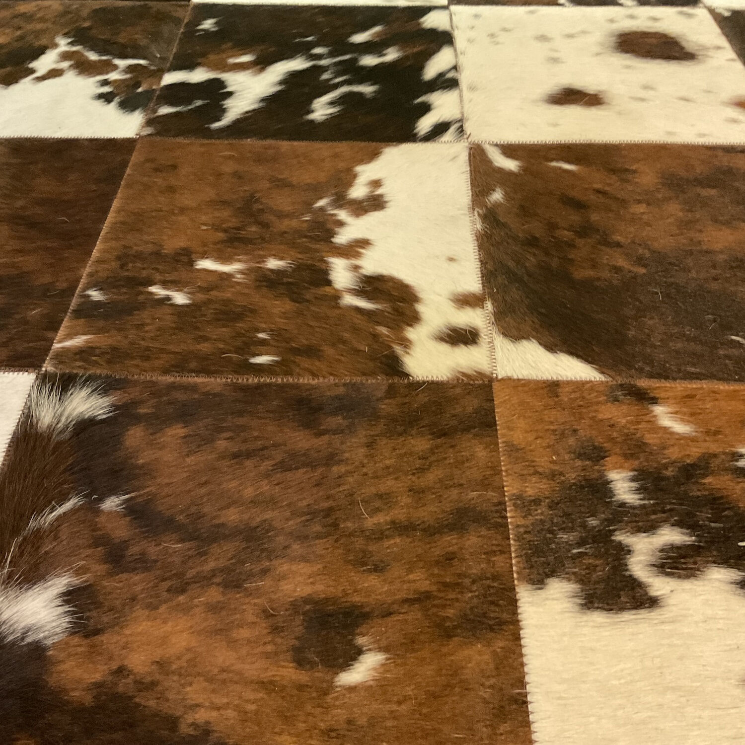 Albrecht - Teppich 180x240 Tricolor Kuhfell - 3