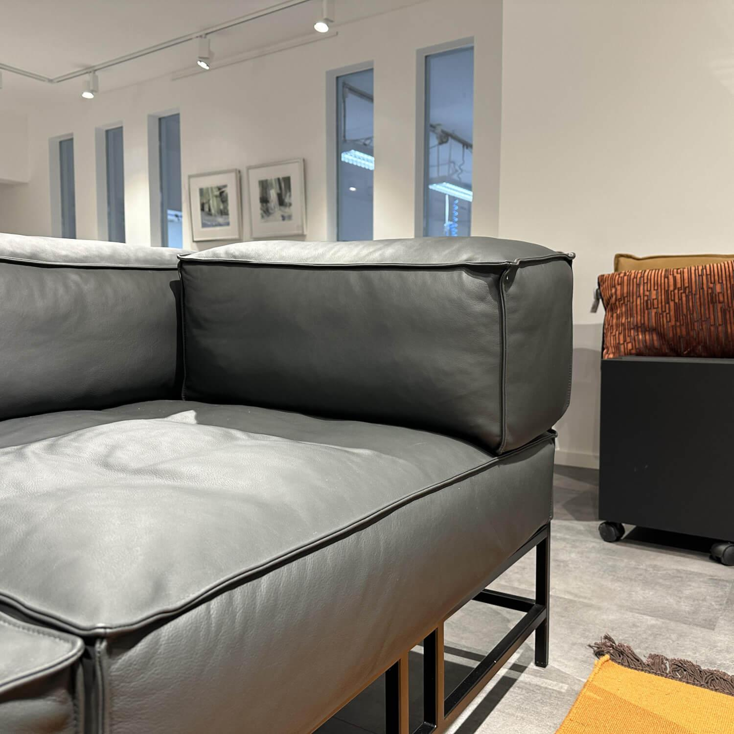 Brühl - Sofa Easy Pieces 2 Leder La Plume 5663 99 Anthrazit Rahmen Schwarz Pulverbeschichtet - 7