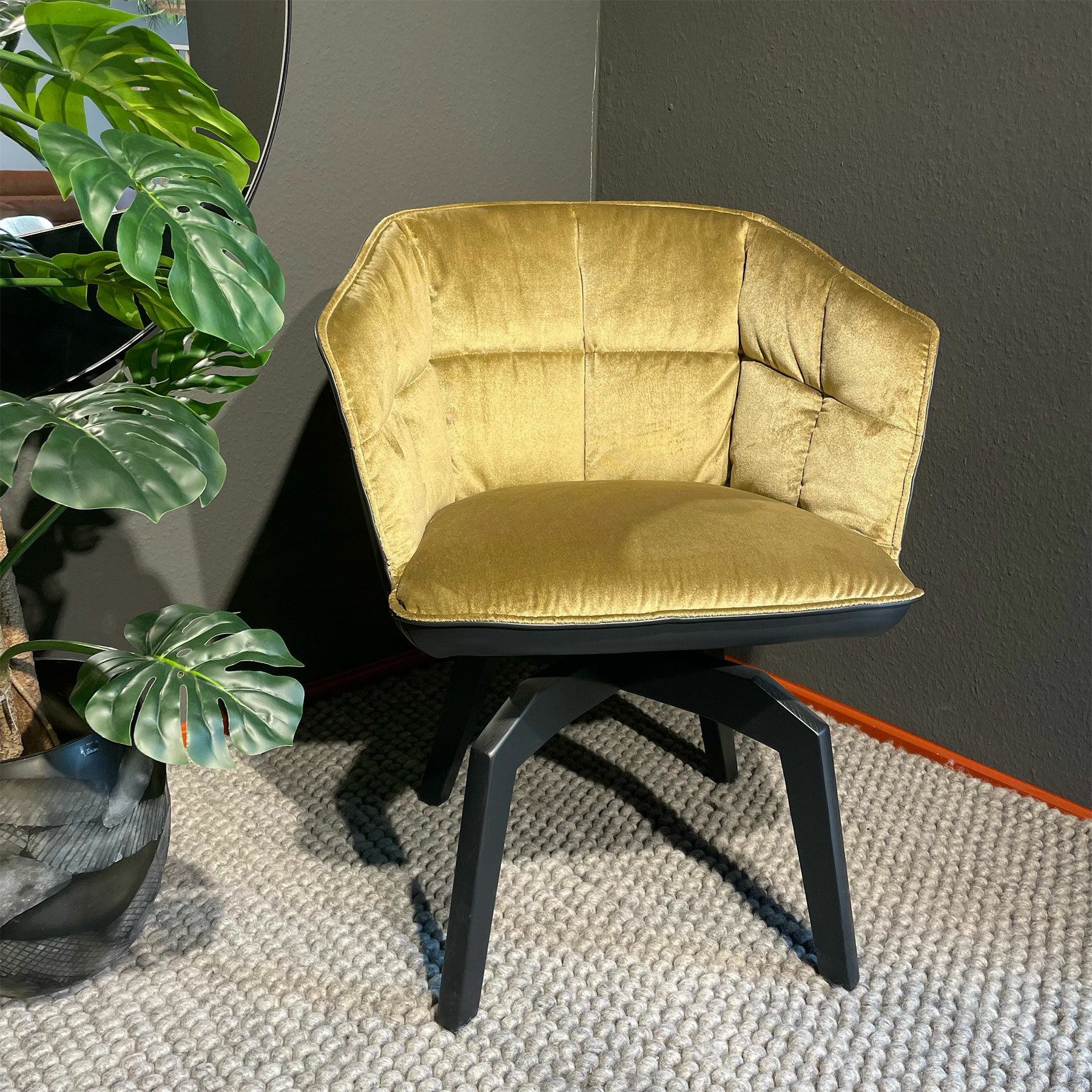 Freifrau - Armlehnstuhl Marla High Innen Stoff Avalon 21 Gold Gelb Leder Opium Carbon Schwarz Gestell Eiche Schwarz - 2
