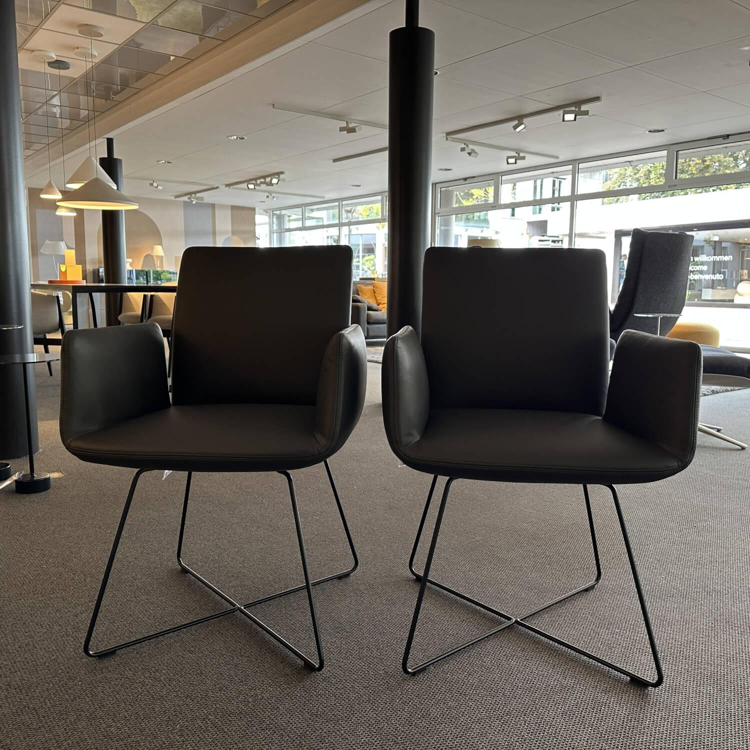 COR - 2er-Set Armlehnstuhl Jalis 541 Leder 287 Grau Drahtgestell Metall Schwarz Pulverbeschichtet - 2