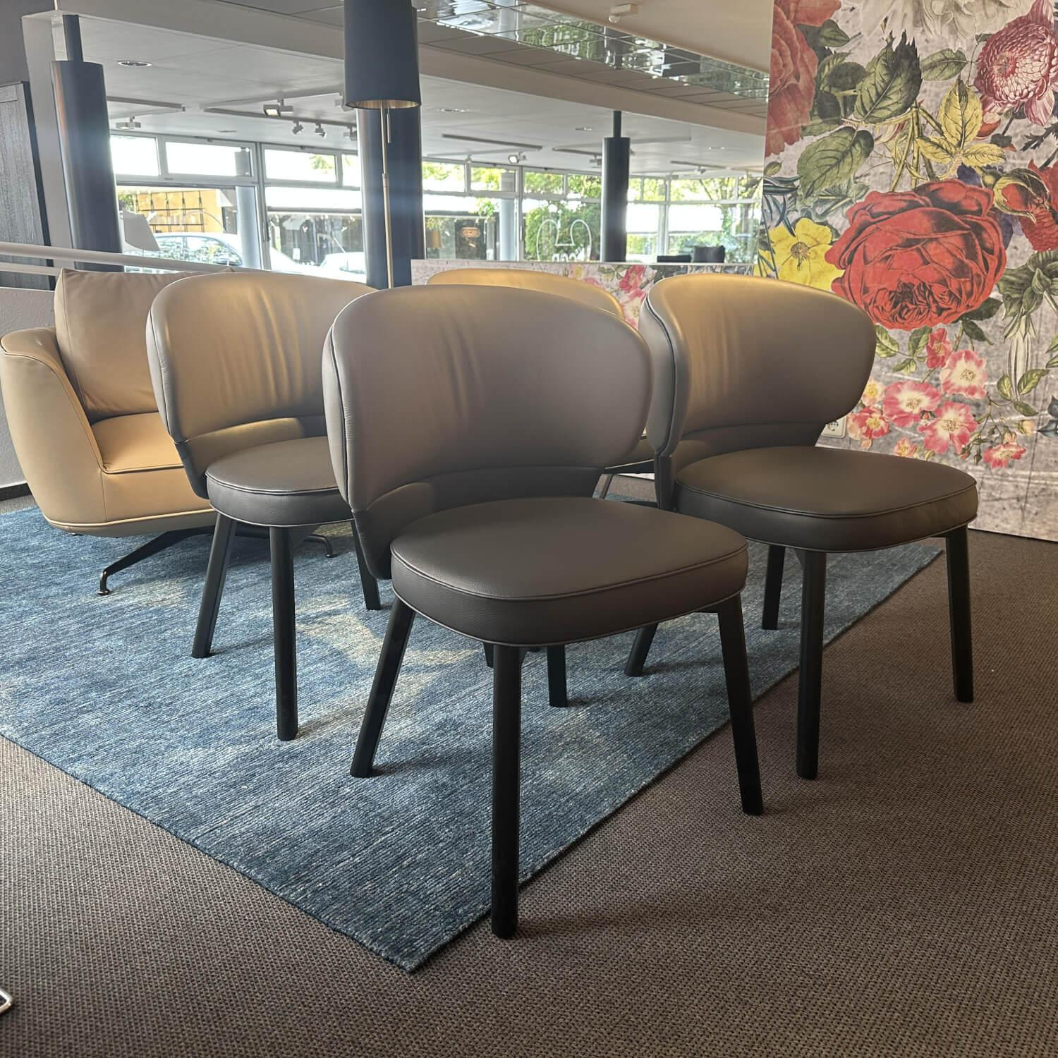 Wittmann - 4er Set Stuhl Morton 22194 Leder Toro Taube Braun Grau Füße Esche Schwarz Lackiert - 3