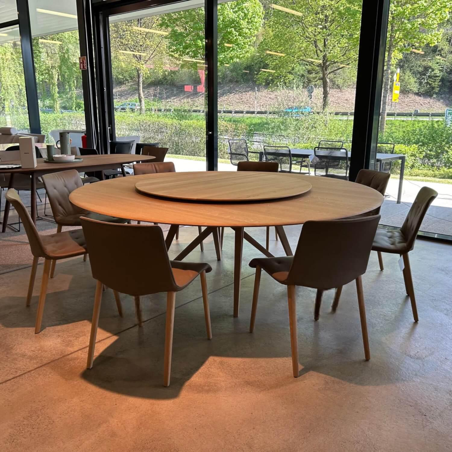 Walter Knoll - 8er Set Stuhl Liz Wood Leder Elen Fango Braun Gestell Eiche Weiß Pigmentiert Geölt Mit Teflongleitern - 6