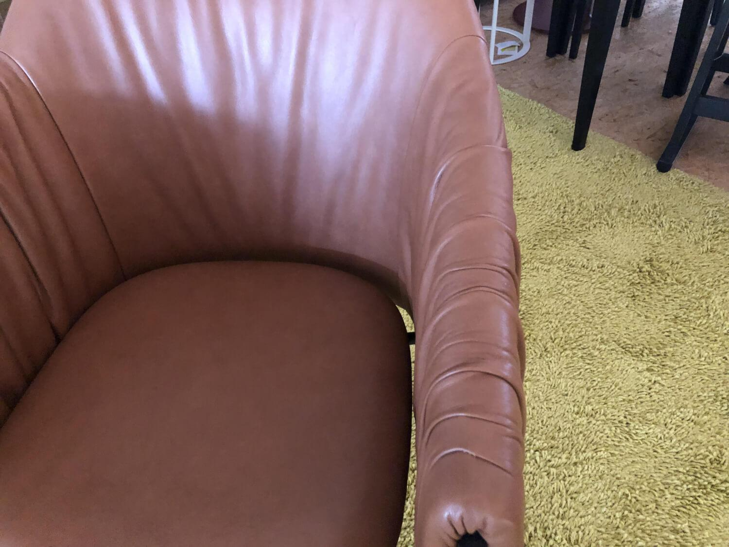 Freifrau - Armlehnstuhl Celine Leder Sahara 60007 Cognac Braun Gestell Metall Schwarz Pulverbeschichtet - 4