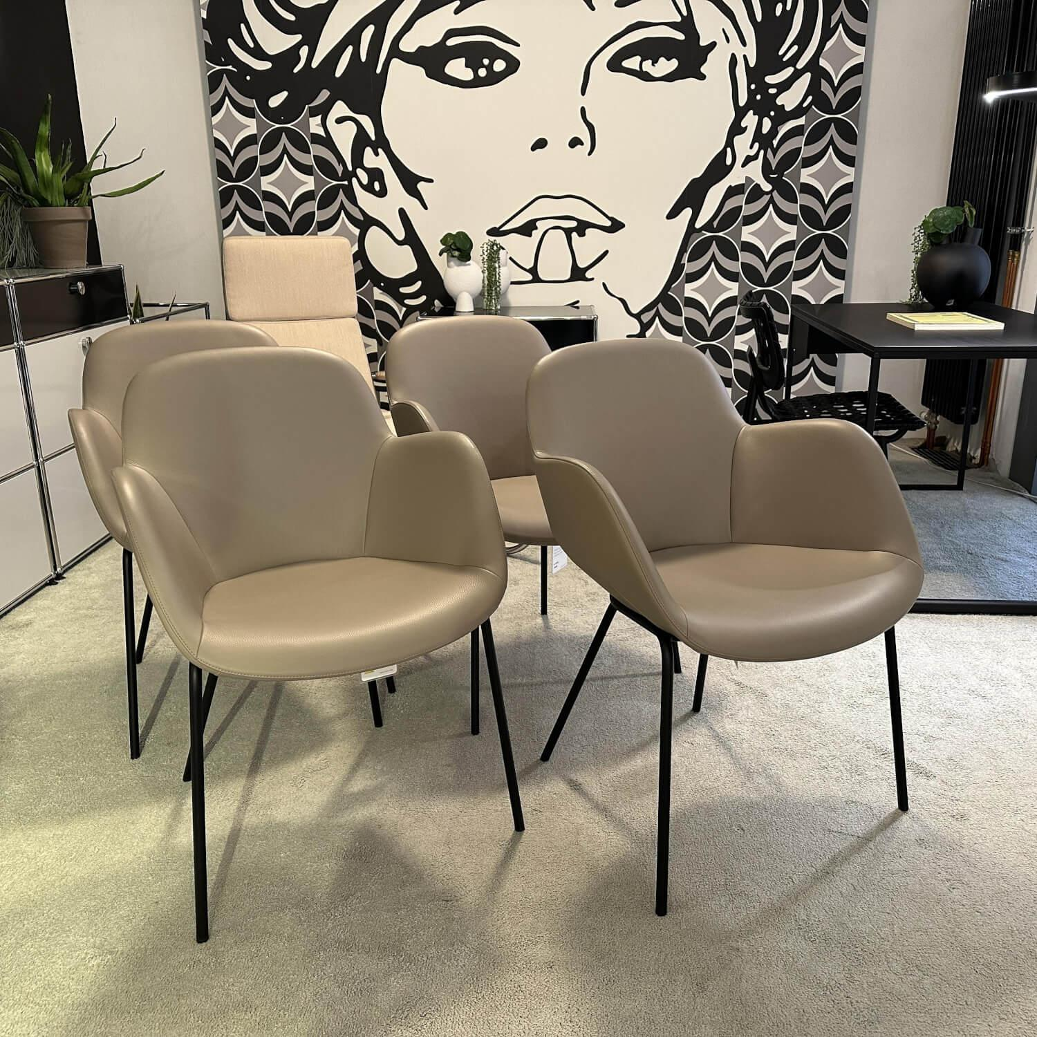 Walter Knoll - 4er-Set Armlehnstuhl Sheru Leder Rodeo Soft 1417 Pebble Beige Gestell Metall Matt Schwarz Mit Filzgleitern - 6