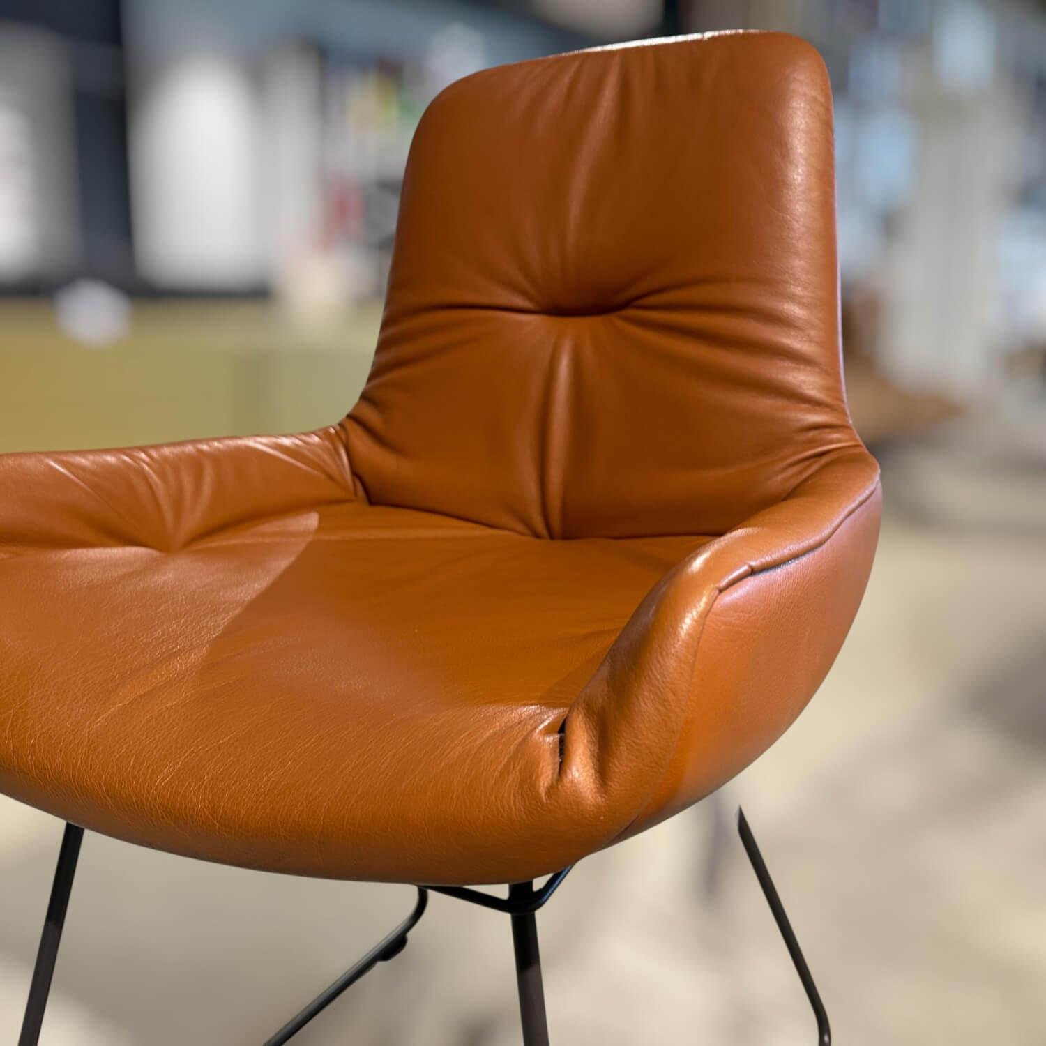 Freifrau - 6er Set Stuhl Leya Armchair 4 Stühle Low ohne Armlehne 2 Stühle High mit Armlehne Leder Opium Cognac Braun Gestell Metall Pulverbeschichtung Feinstruktur Matt Dunkelbraun - 5