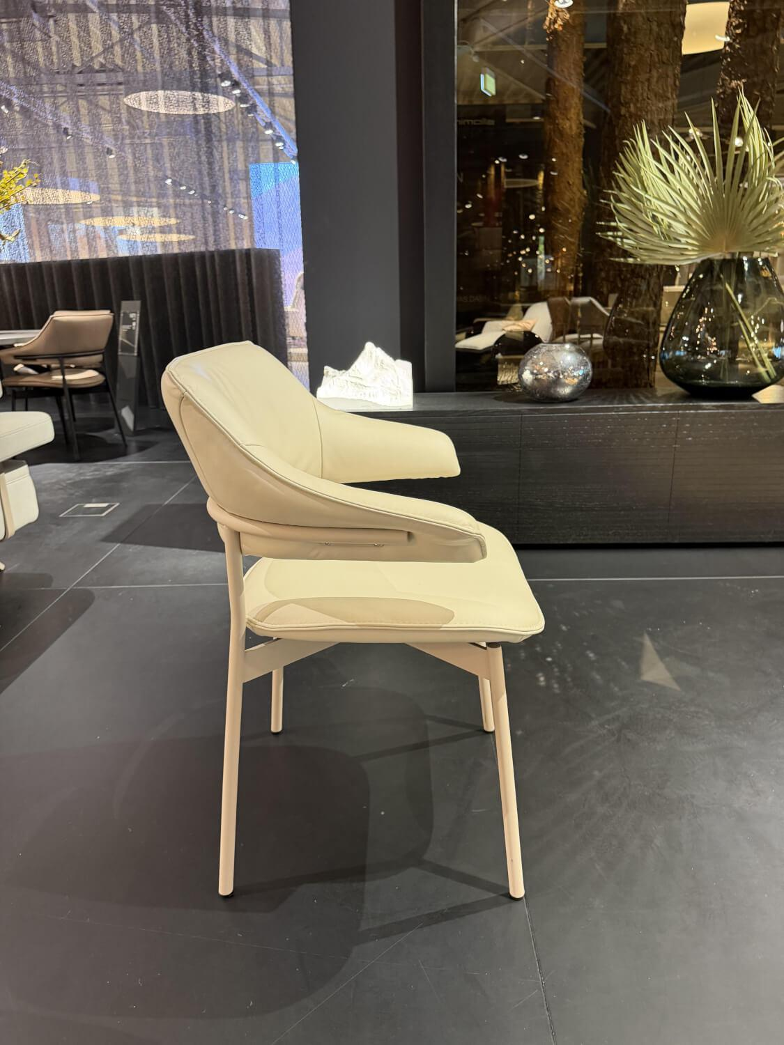 himolla - Armlehnstuhl Dining 1471 Leder 27 Longlife Mimosa Fragrance Beige Gestell Metall Beige Pulverbeschichtet - 4