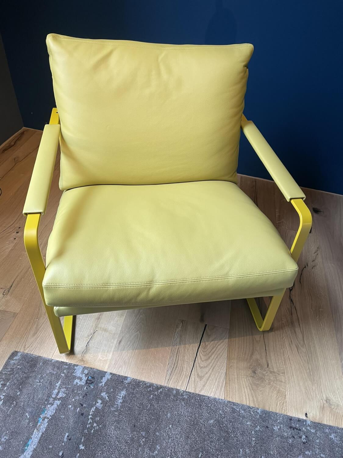 Walter Knoll - Sessel Fabricius Leder 55 Curry Gelb Gestell Metall Gelb Lackiert - 2