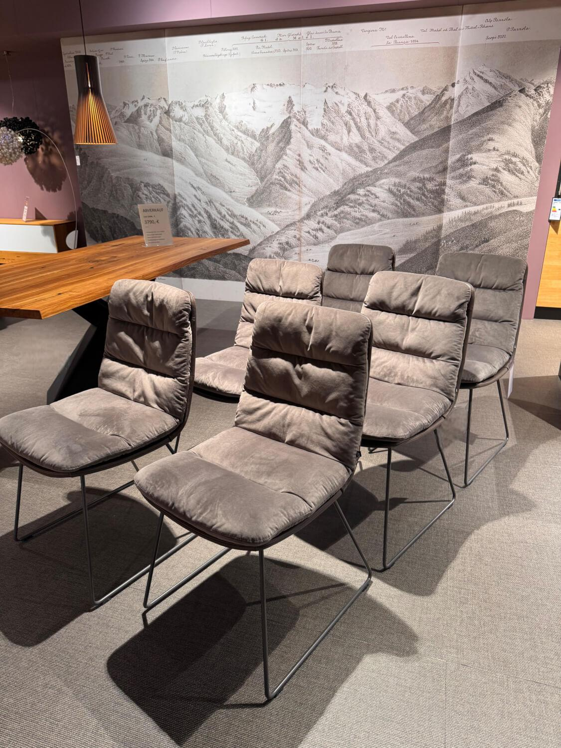 KFF - 6er Set Stuhl Arva Leder Dakota 6006 Grey Drahtkufengestell Metall Eisenblank Grau Lackiert - 9