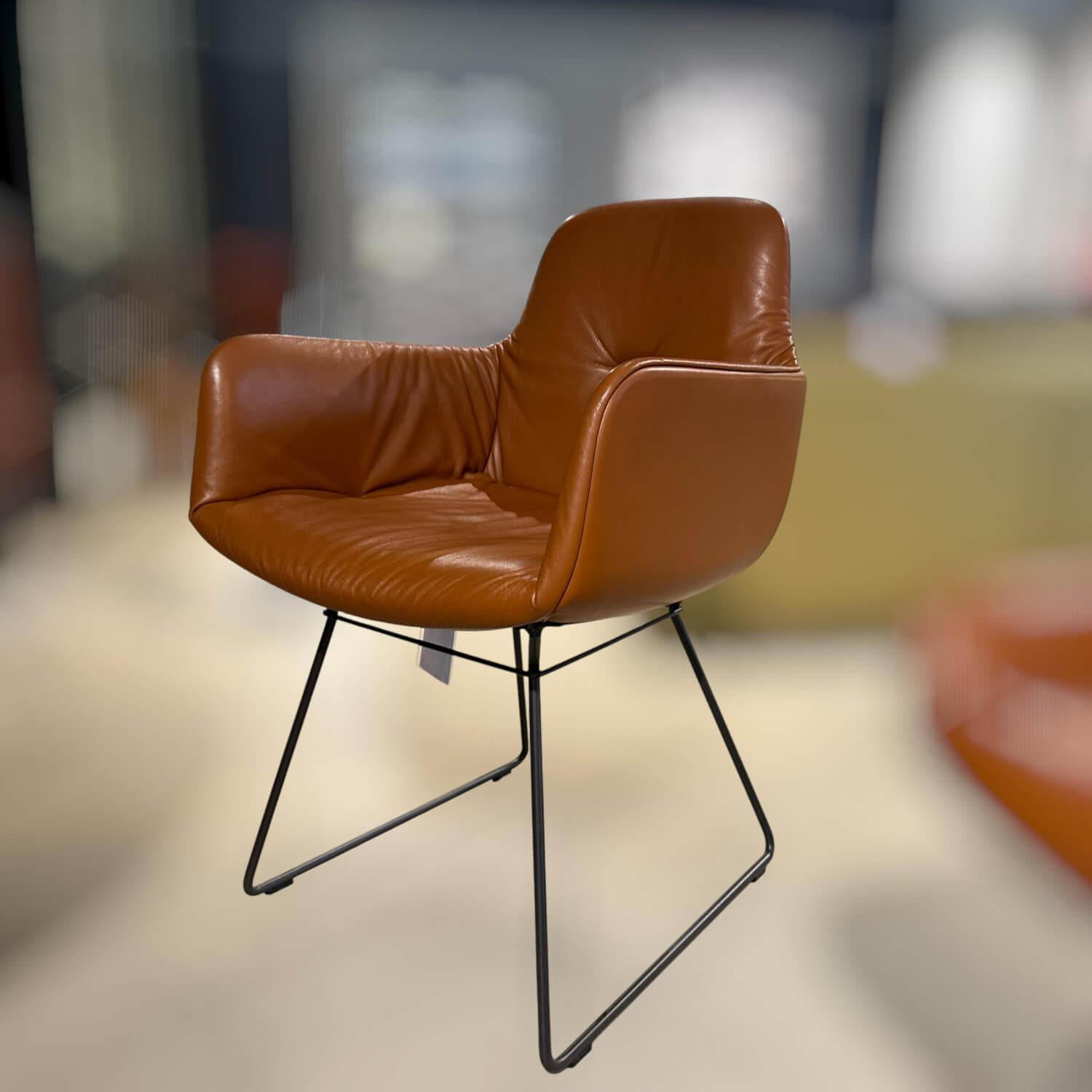 Freifrau - 6er Set Stuhl Leya Armchair 4 Stühle Low ohne Armlehne 2 Stühle High mit Armlehne Leder Opium Cognac Braun Gestell Metall Pulverbeschichtung Feinstruktur Matt Dunkelbraun - 2