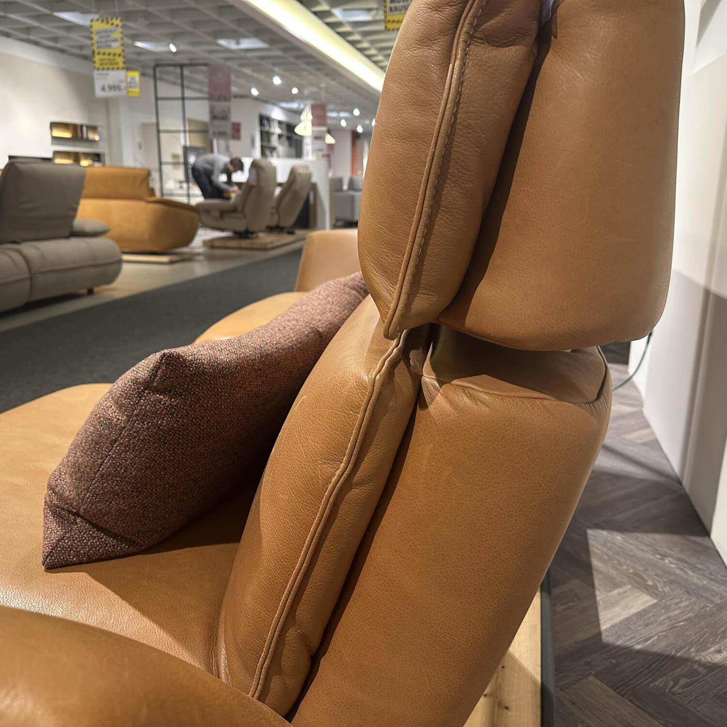 Koinor - Sofa 2-Sitzer Leder B-Toro Whisky Braun Plateau Metallrahmen Schwarz Matt Balkeneichenfurniert - 4