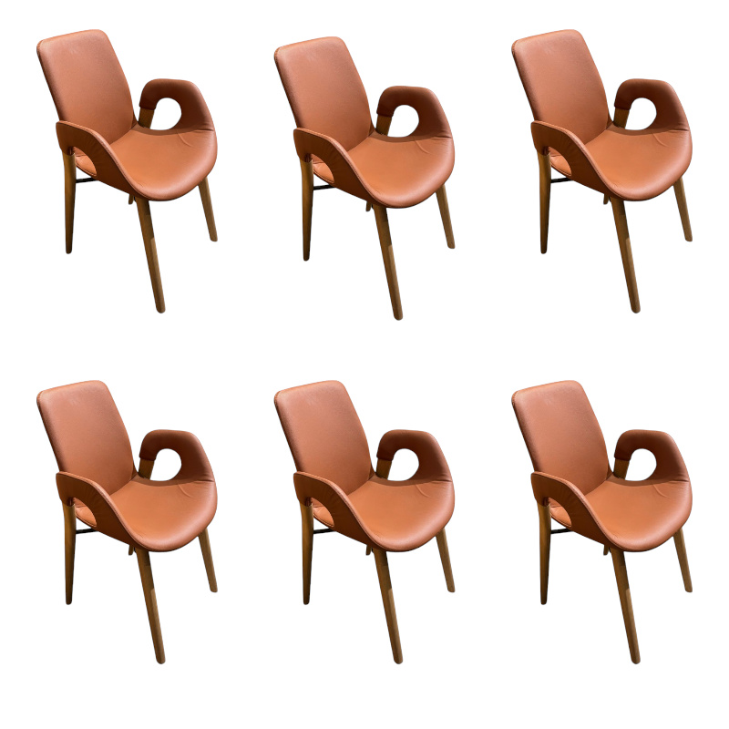 Hartmann - 6er-Set Harta Jasper Leder 22 Cognac Braun Kerneiche Umato - 1