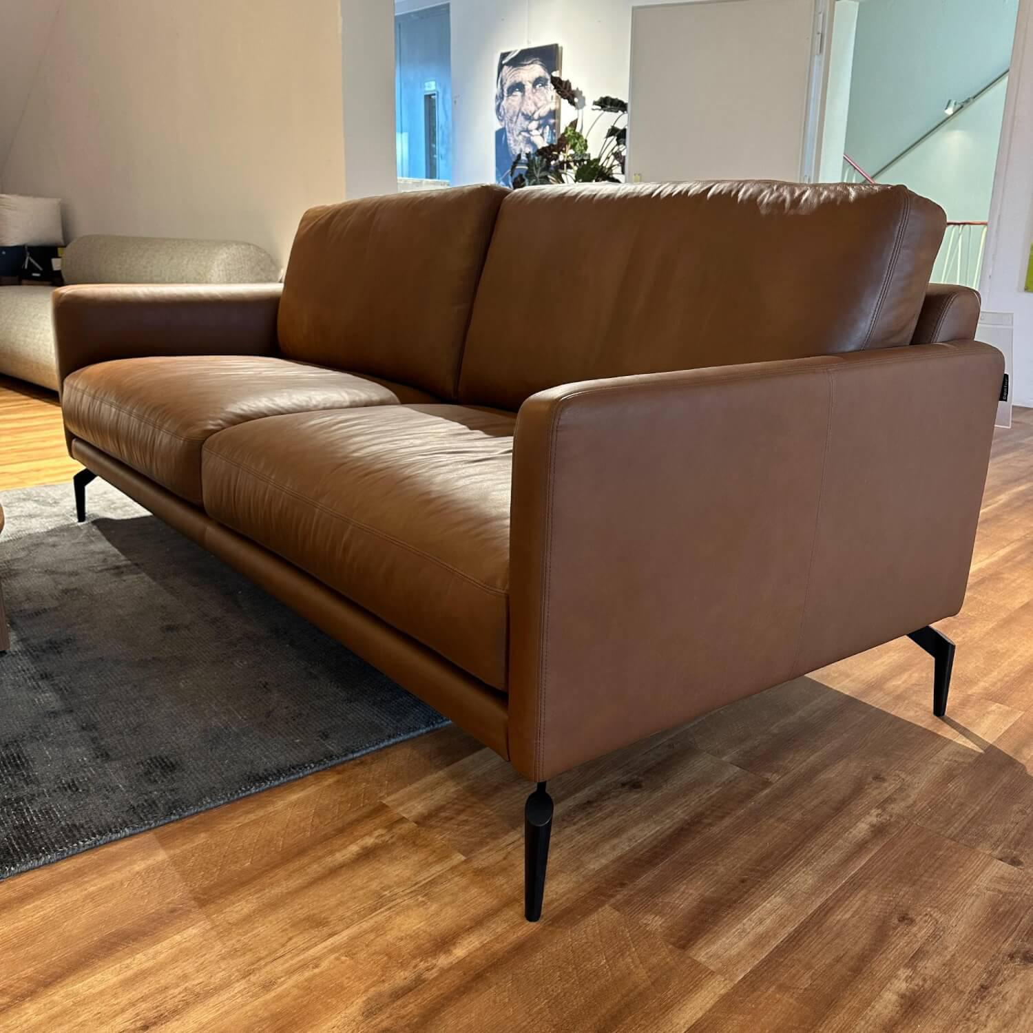 Contur - Sofa Cuneo Bezug Leder Anilina Touch 19 Cognac Braun Schwebefüße Metall Schwarz Lackiert - 3