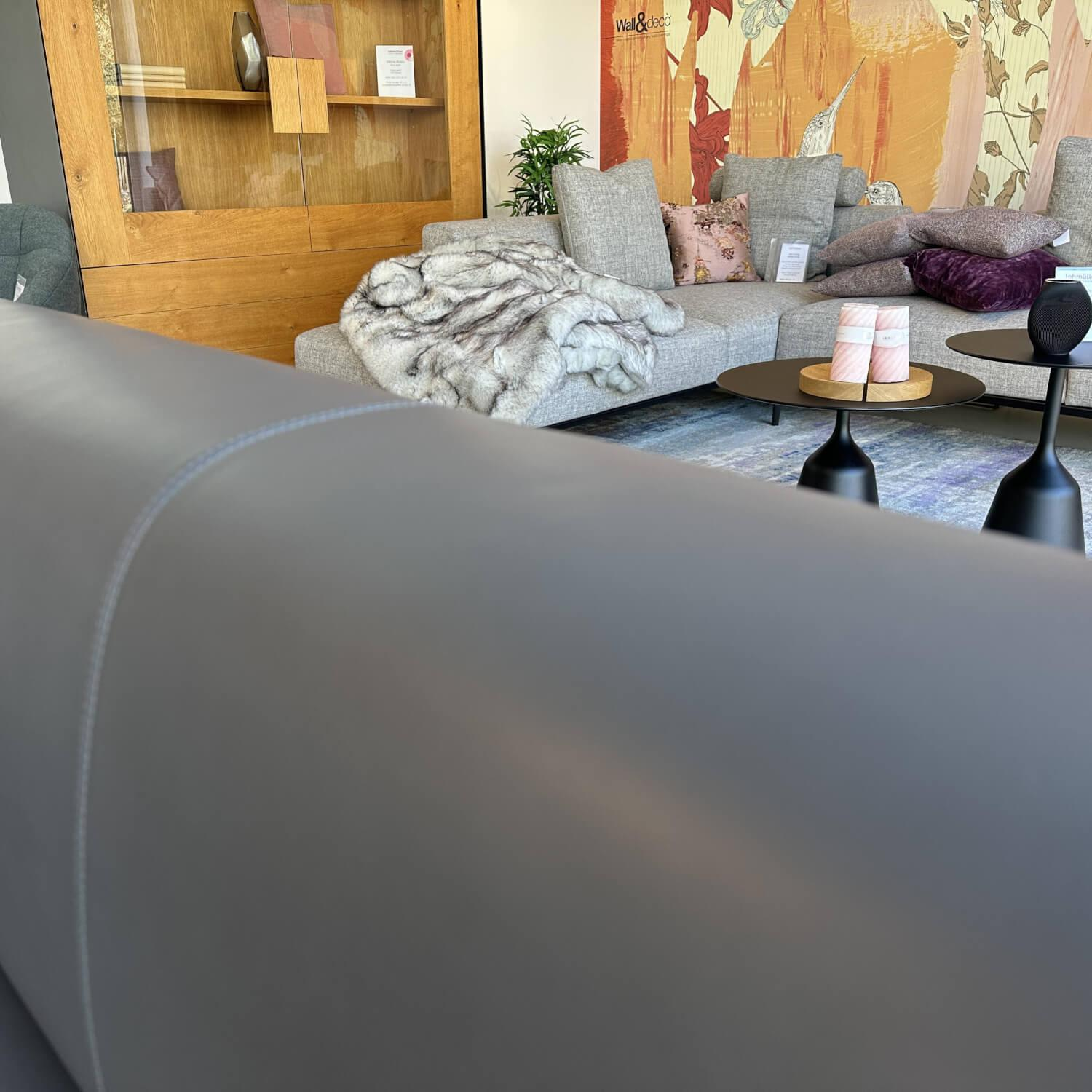 Walter Knoll - Bank Ison Leder 65 Elen 1219 Oyster Grau Gestell Stahl Schwarz Pulverbeschichtet - 6