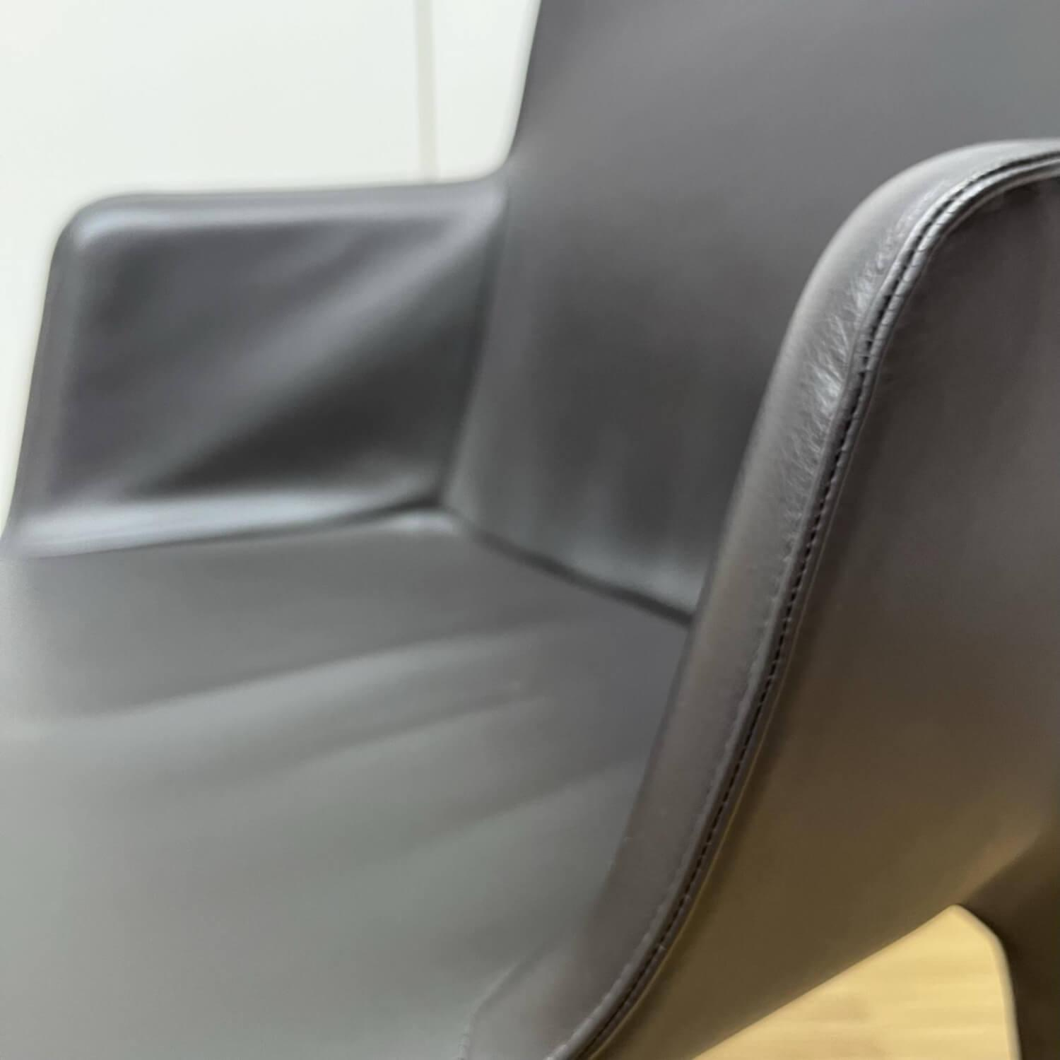Walter Knoll - Armlehnstuhl Gio Leder Bronco Chocolate - 4