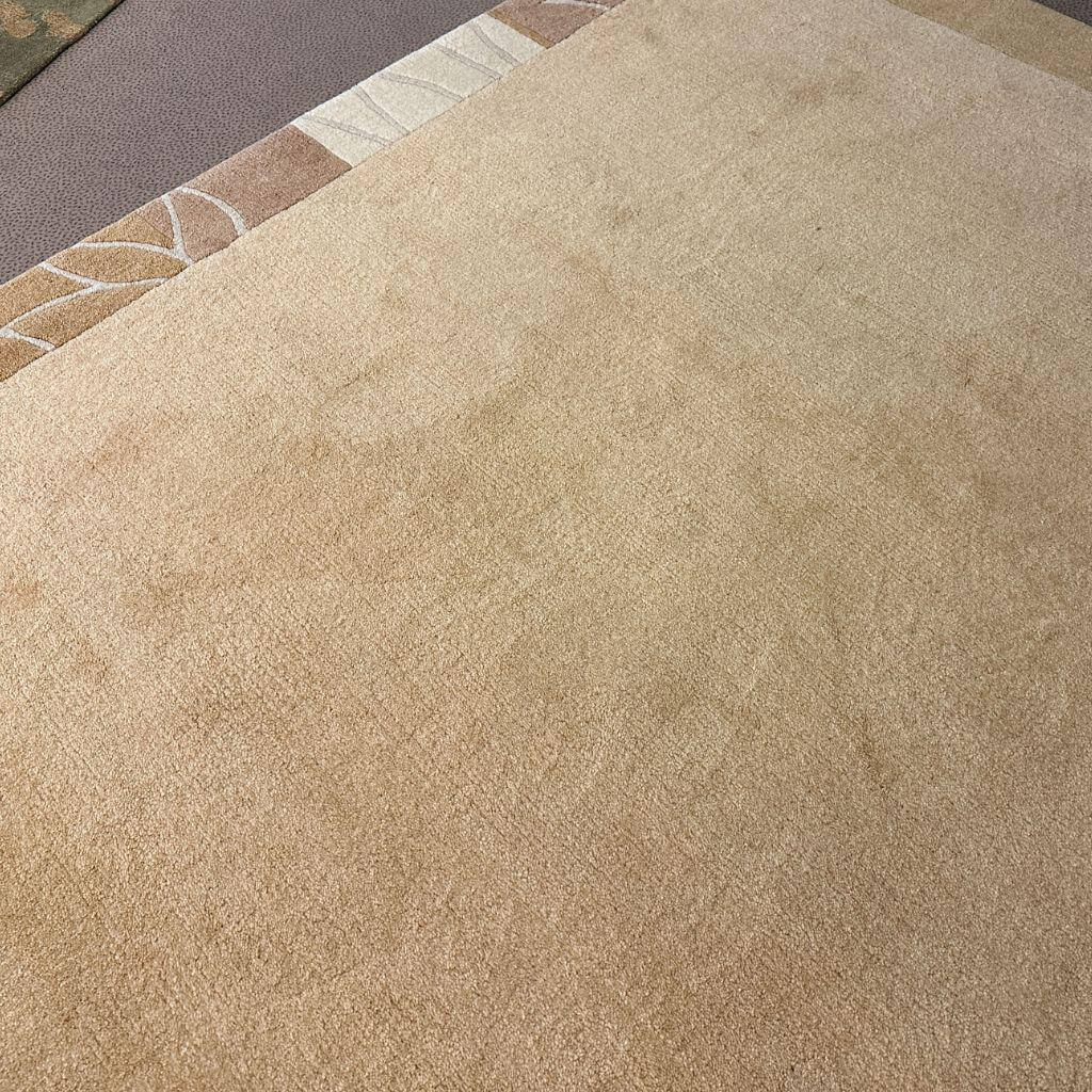 Eigene Herstellung - Teppich Nepal 170x240cm Schurwolle Handgeknüpft Beige Hellbraun - 2