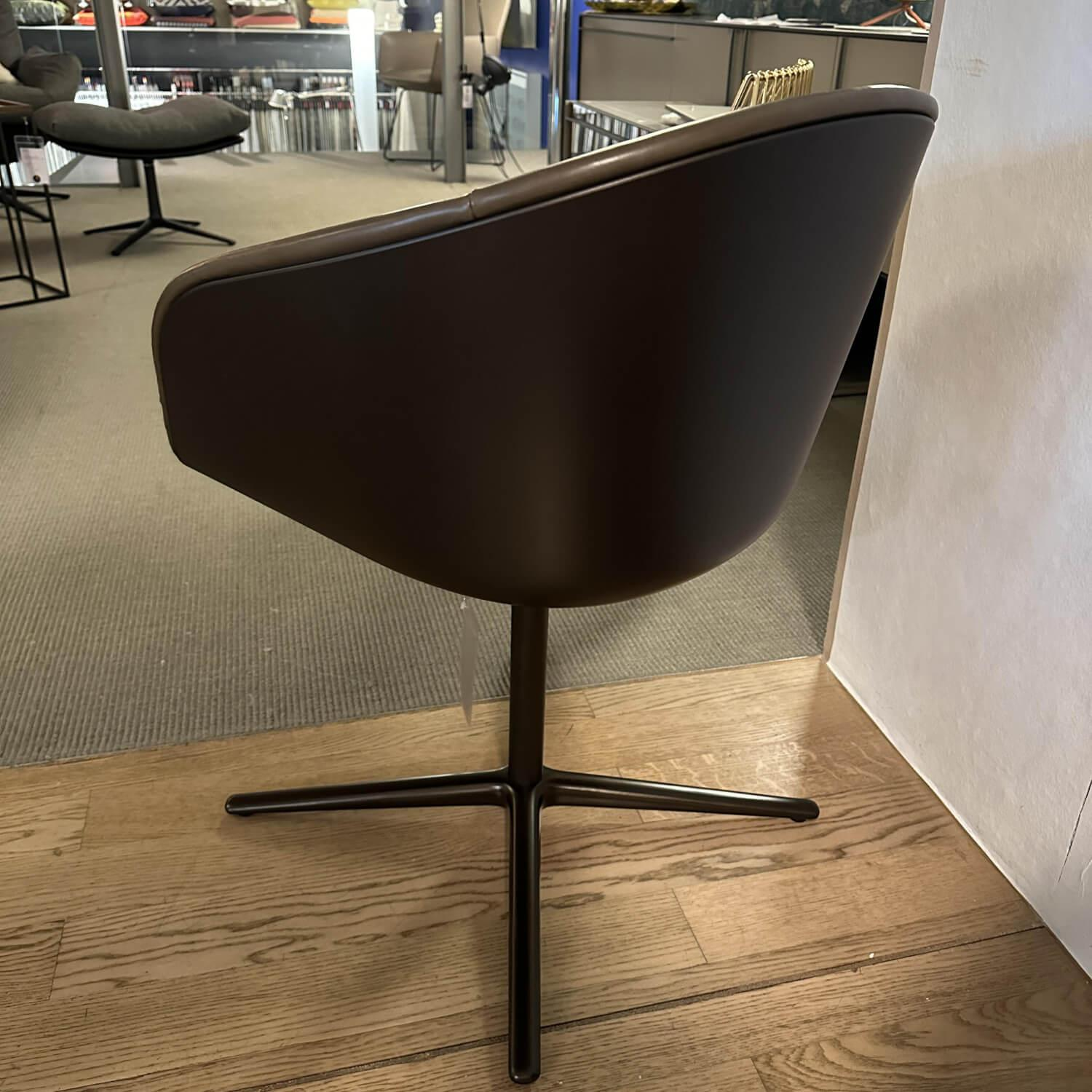 Walter Knoll - Schalensessel Kyo 1342 Leder Elen 1381 Khaki Braun Schale Kunststoff Bronze 4 Fuß Kreuz Aluminium Bronze - 6