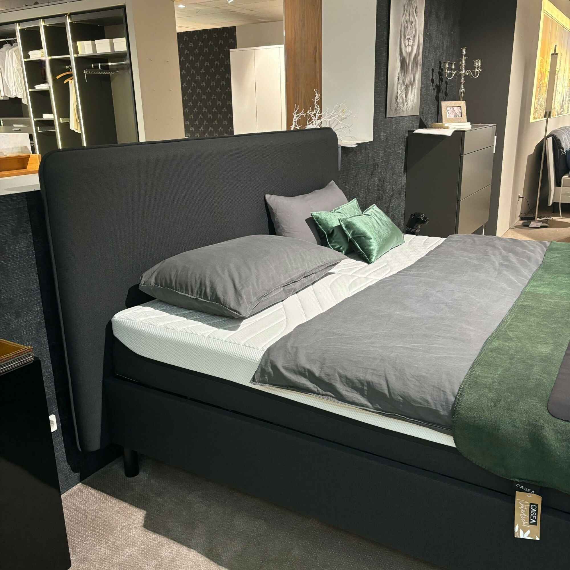 Tempur - Polsterbett 83020173 Arc Static Disc Textilgewebe Charcoal Grey Grau Füße Eiche Schwarz Matt Lackiert Kopfteil Sensory Ohne Matratze Ohne Lattenrost - 6