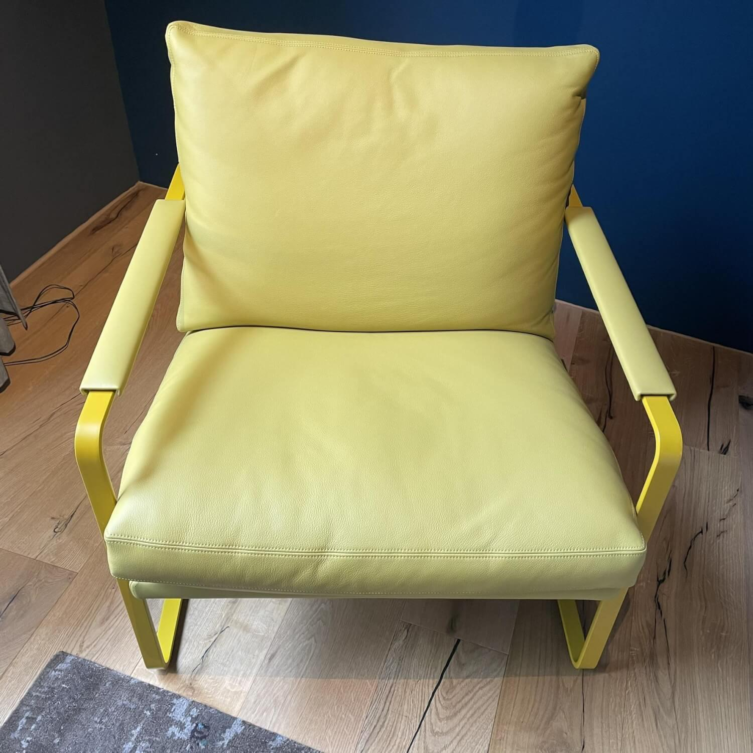 Walter Knoll - Armchair Fabricius Leather 55 Curry Yellow Frame Metal Yellow Lacquered - 4