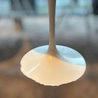 Knoll International - Esstisch Saarinen 91x91 Tulip Platte Weiß Gestell Aluminium Weiß - 6