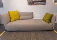 2-sitzer-sofas-mdf-italia-sofa-cosy-paolina-stoff-cady-03-silbergrau-293-01-19598-4