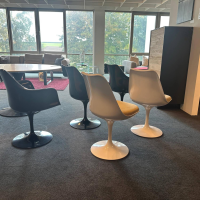 Knoll International - Essgruppe Saarinen Tisch Platte Fenix Weiß Fuß Schwarz Stuhl Tulip Fenix Schwarz Und Weiß Stoff Eva 154 Gold - 3