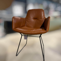 Freifrau - 6er Set Stuhl Leya Armchair 4 Stühle Low ohne Armlehne 2 Stühle High mit Armlehne Leder Opium Cognac Braun Gestell Metall Pulverbeschichtung Feinstruktur Matt Dunkelbraun - 3