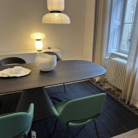 Zoom by Mobimex - Tisch Bridge BRI240El Oval Platte Holz Eiche Gebürstet Kohleschwarz Schwarz Lackiert Gestell Beton Anthrazit - 8