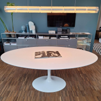 Knoll International - Esstisch Saarinen Oval Mattweiß Gussfuß Aluminium Weiß Rilsan Geschützt - 6