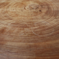 Mauro Mori - Beistelltisch Circus Maxi Rund Holz Albizia Rosa - 5