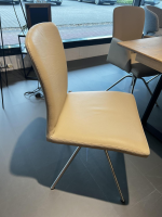 WK Wohnen - 6er-Set Stuhl 701 Leder Toledo Echt Mastic Beige Gestell Viefuß Edelstahl Matt Mit Kunststoffgleitern - 10