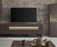 Loddenkemper - Wohnwand Linee Living LS24 Galano Lack Terrabraun Braun Grau Absetzung Eiche Wellenoptik Mit Beleuchtung - 8