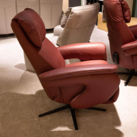 Comfortmaster - Sessel Easyswing 7304 Leder 24 Longlife Cabern Rot Sternfuß Anthrazit Pulverbeschichtet - 6