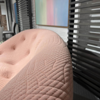 Ligne Roset - Sofa Ploum Stoff Kvadrat Appa Poncho Rosa Gestell Stahl - 5