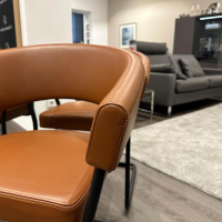 Tecta - 4er-Set Armlehnstuhl D9 Leder III Cinnamon Braun Gestell Stahlrohr Schwarz Pulverbeschichtet - 2