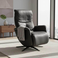 himolla - Sessel 7708 Easy-Swing M Leder Buffalo Bison Schwarz Sternfuß Metall Schwarz Pulverbeschichtet - 7