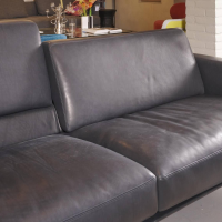 2-sitzer-sofas-de-sede-sofa-schwarz-4-platz-ds-0087-04-mit-extra-kissen-fuesse-schwarz-beschichtet-2