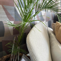Poliform - Polsterbett Kelly Stoff Lima 64 Corda Grau Beige Gestell Eiche Spessart Massiv mit Matratze - 2