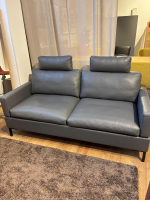 Brühl - Sofa Alba 2,5-Sitzer Leder Lama 95 Grau Winkelfuß Schwarz mit 2 Kissen - 7