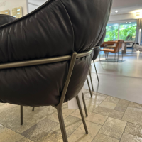 Freifrau - 6er Set Armchair Marie Leder Adora Canelo 95007 Schwarz 4 Fuß Stahlgestell Bronze Lasur Schwarz - 6