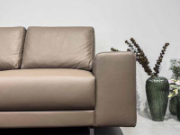 Hülsta - Sofa hs.450 Leder 53-426 Beige Grau ohne Dekokissen - 3